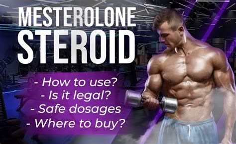 poviro|Proviron (Mesterolone) Steroid 101: The Bodybuilder’s Guide